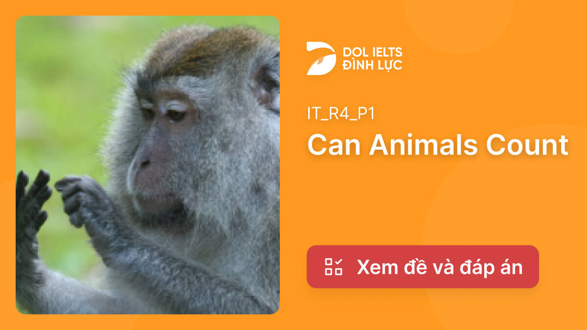 Can Animals Count IELTS Reading Answers with Explanation | IELTS Reading  Practice @  - Học Tiếng Anh Tư Duy - Nội dung Free - Chất lượng  Premium
