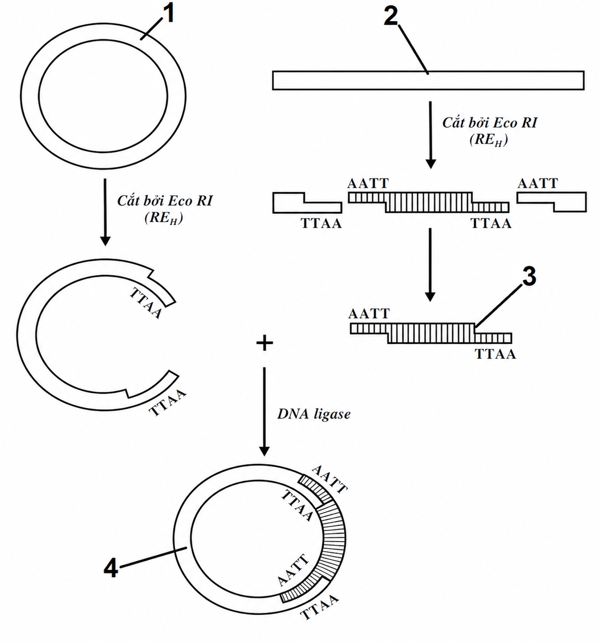 1-6sKf0sb6su-HtEJnW5oVjvOQ8wBAVJD
