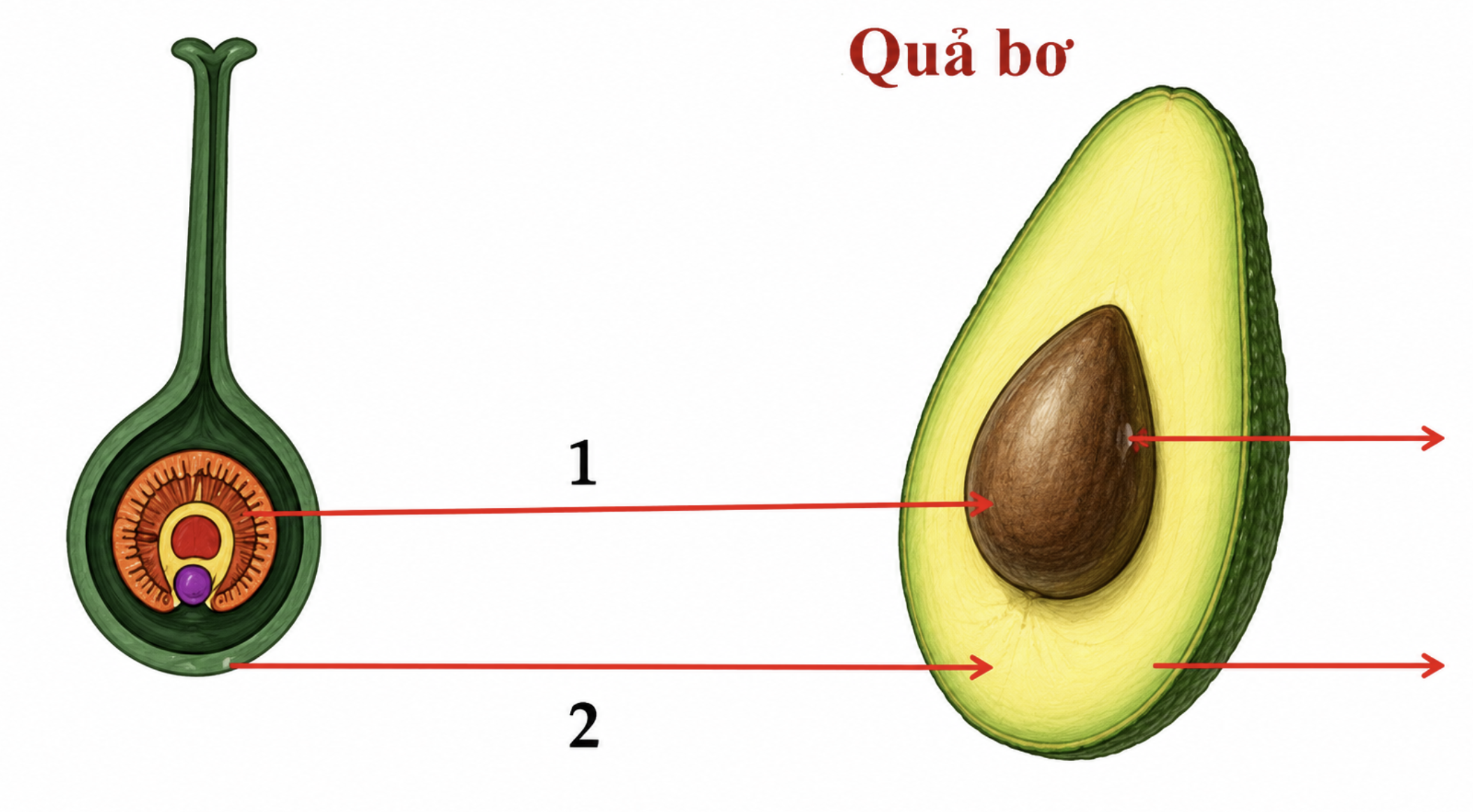 1-H49XjM1a4ksdaSXHNQhRPtN4IbOnAJG