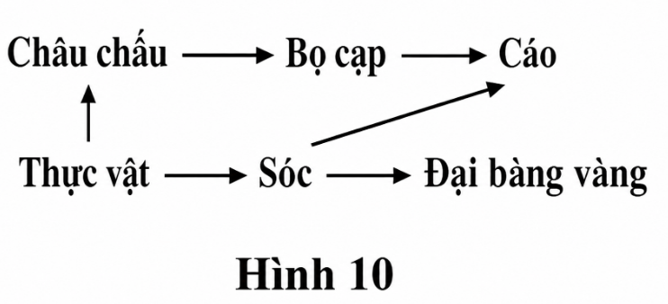 1-mVgn-Qhjo7Fb12r_YUVJ6M3knUI6WoF
