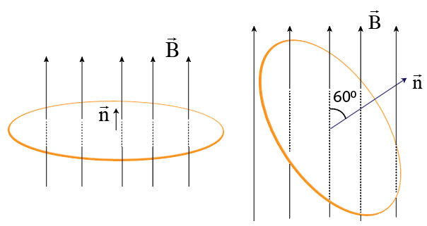 14EuAKQzTEZa6SRXs-8HCiyLgHmtSq5O9_2026-04-07045559.png