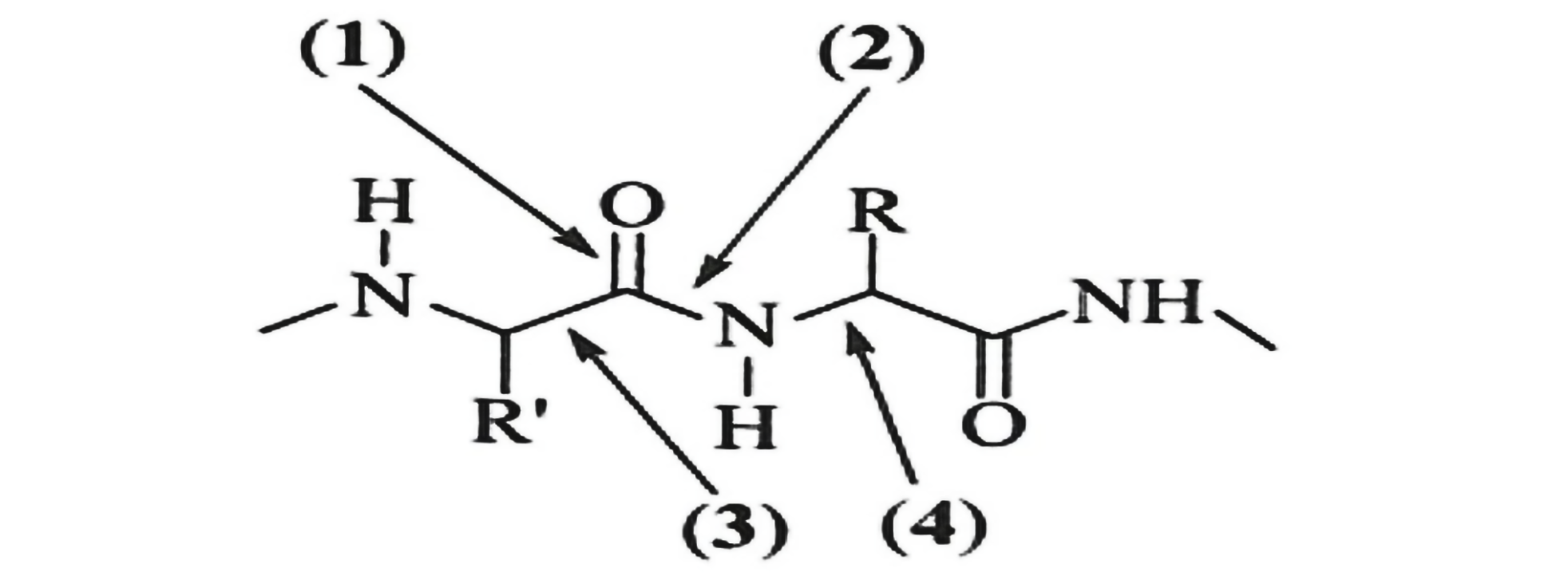 14gmjJXJNl0VJM_ELTAzZpLZAZAdCmUxj