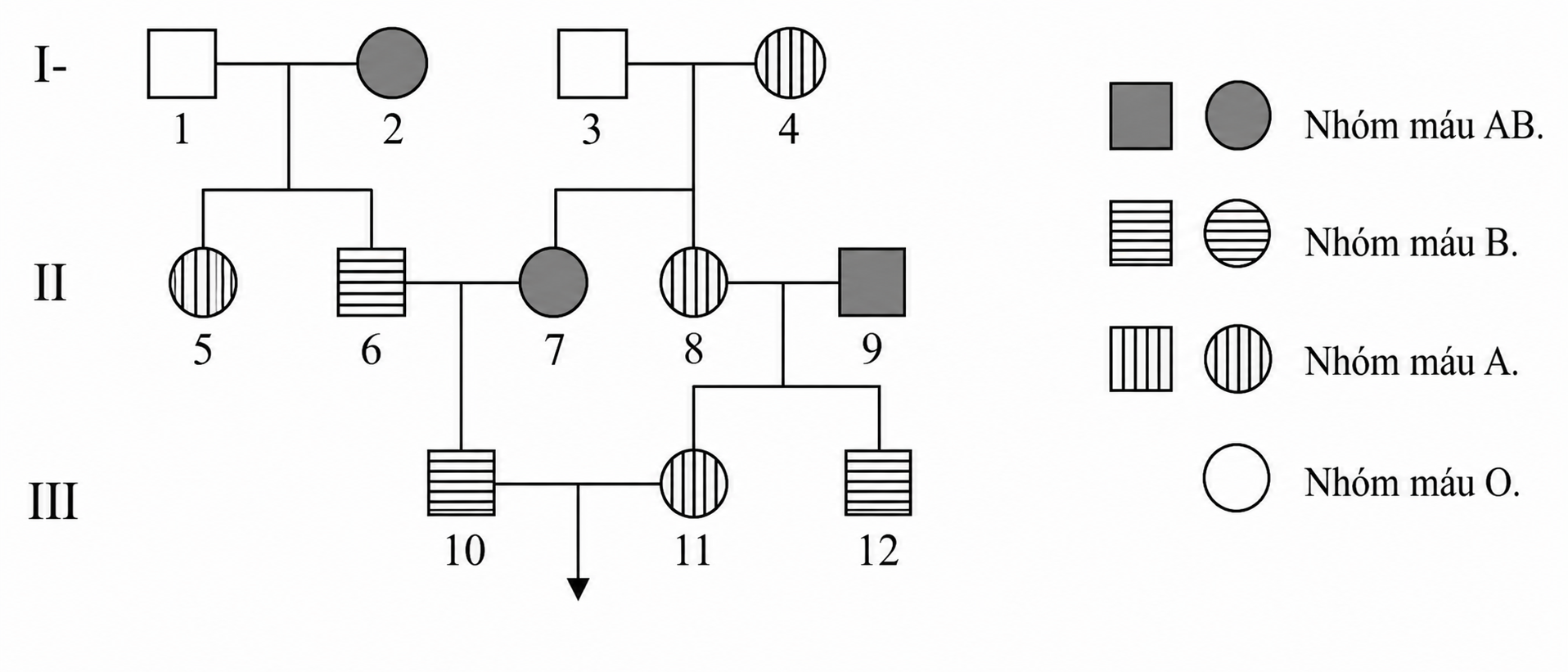 15l6P9wlB-ZSO3jHvYEkD5Pn34Nvlcqw7