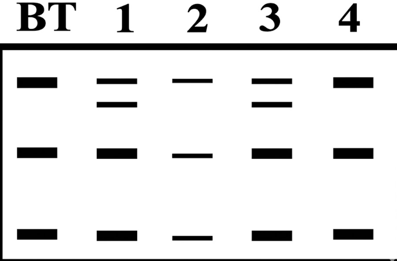 16or6OV0lSZ6AILtzv4Q8jRtN76paOvds