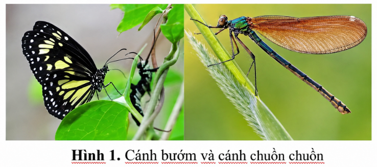 1Cl5fy0_PI16f4Z93nqU6pc4l6UCMBNiH