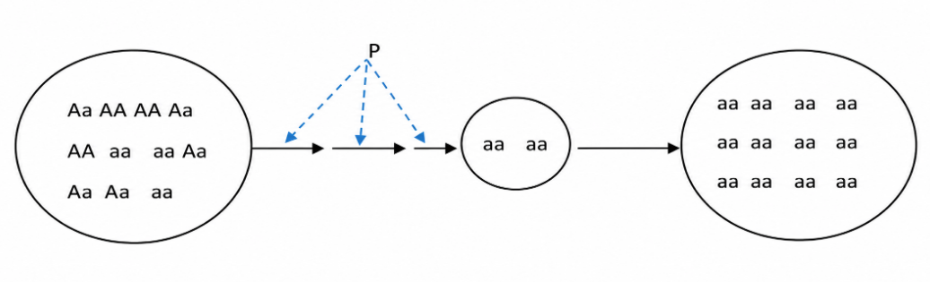1E2-xa-GaLbqN0sLfcSGlot16U7RVM9mW