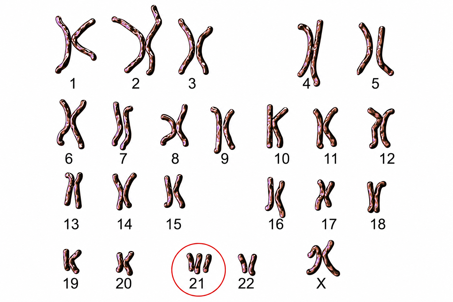 1E27glXdDYZyRfIYxkE8rIEadgYryhfWQ