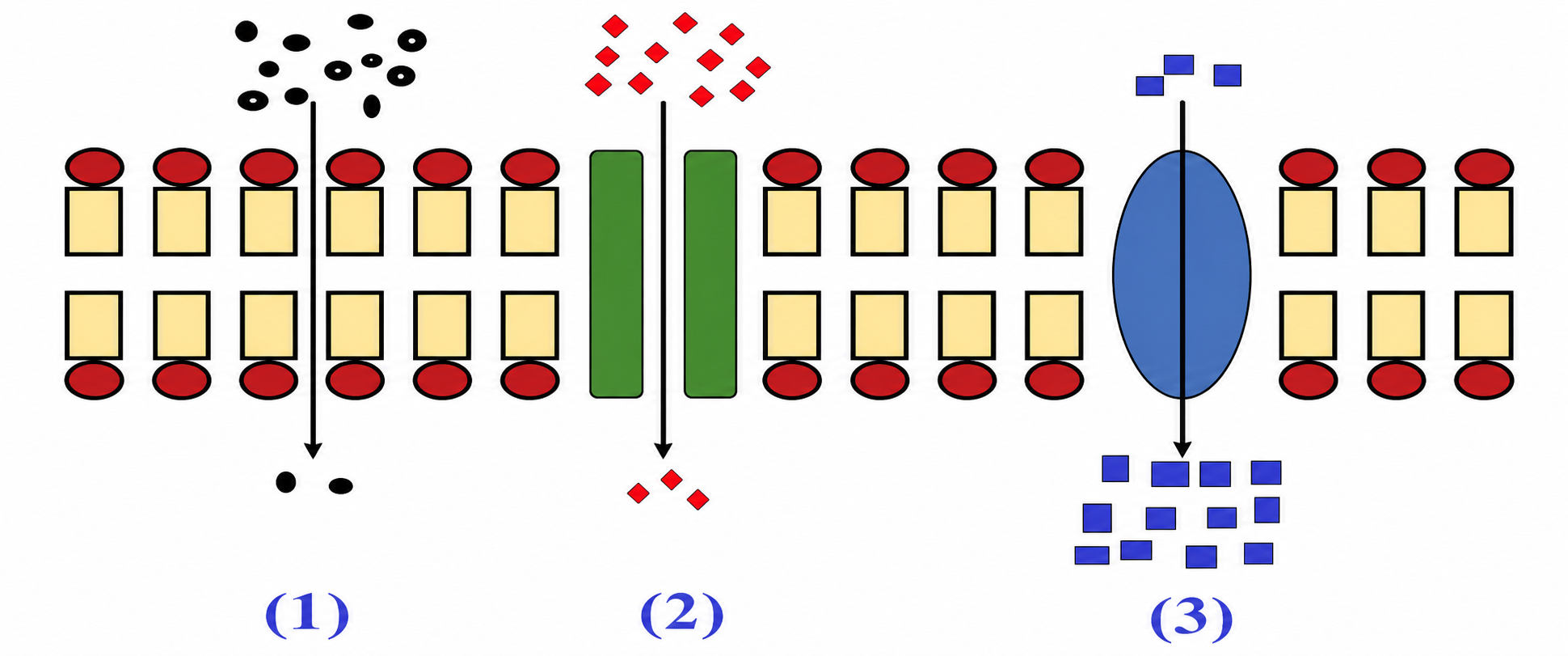 1H26r-8MYCrv6EdK8b8-NMswo1ZP9NpDJ