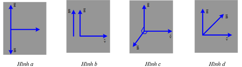 1Hx1xPsPdttdpTnH6SEmgOUvBdW_6287J
