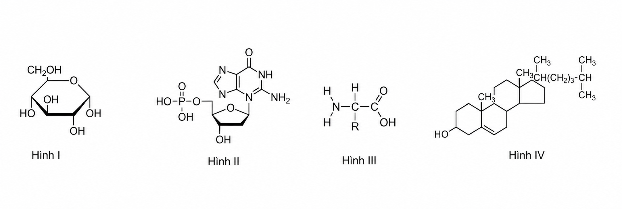 1I3de3QhCdq5AJMxNcBG40RqWjOzvWlxb