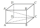 1K6bUsPuFbbBS-moEc5Ecs67U7xh1Li_B