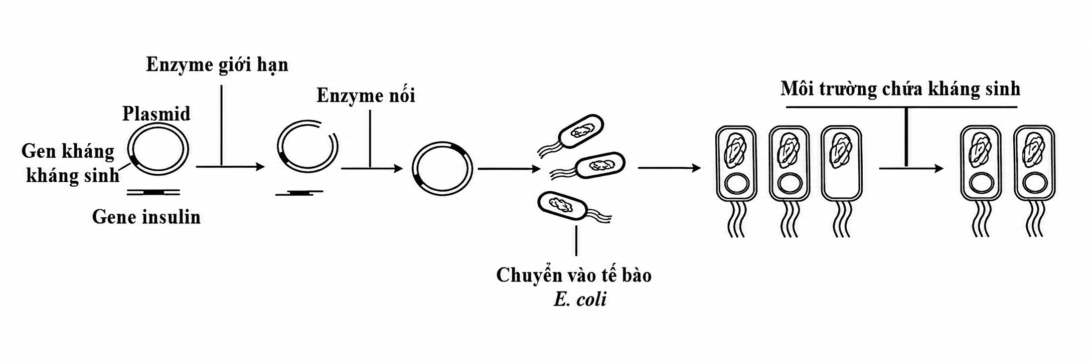 1UYLvPr-iT-9rAeiAhHfl5PLi7pCyOUwZ