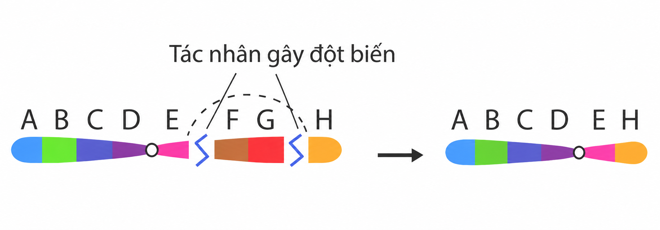 1ZrkvCxOt6GLIdQNVrgcn_Yiv6YBVIm0m