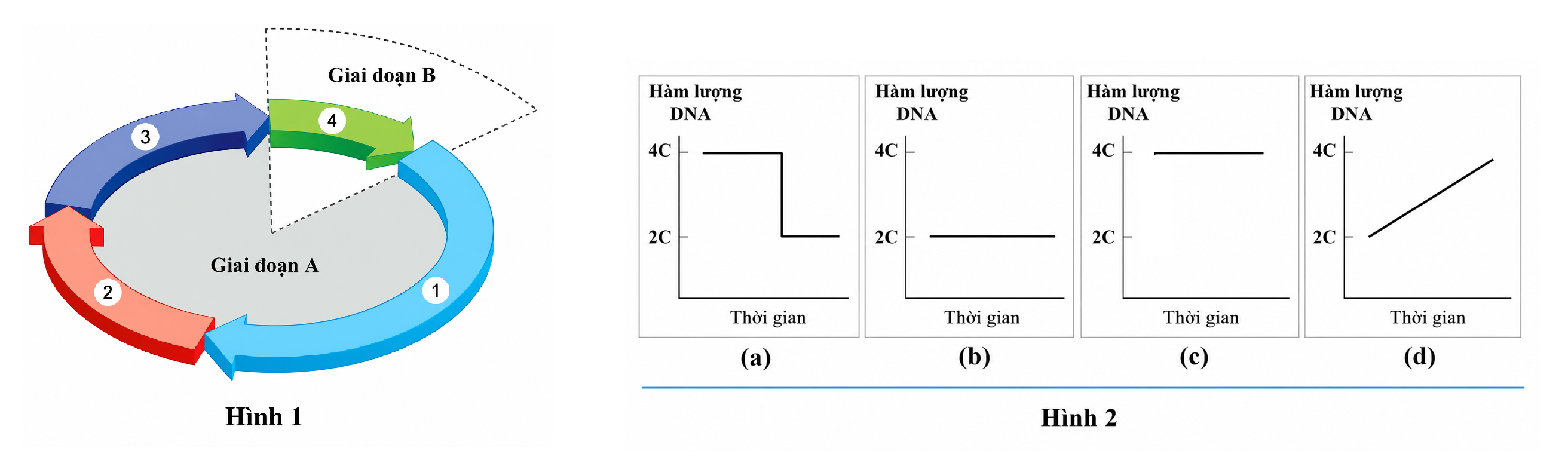 1_hJG3T9Q3zydk_FgYL7127hUAVk6SwHj