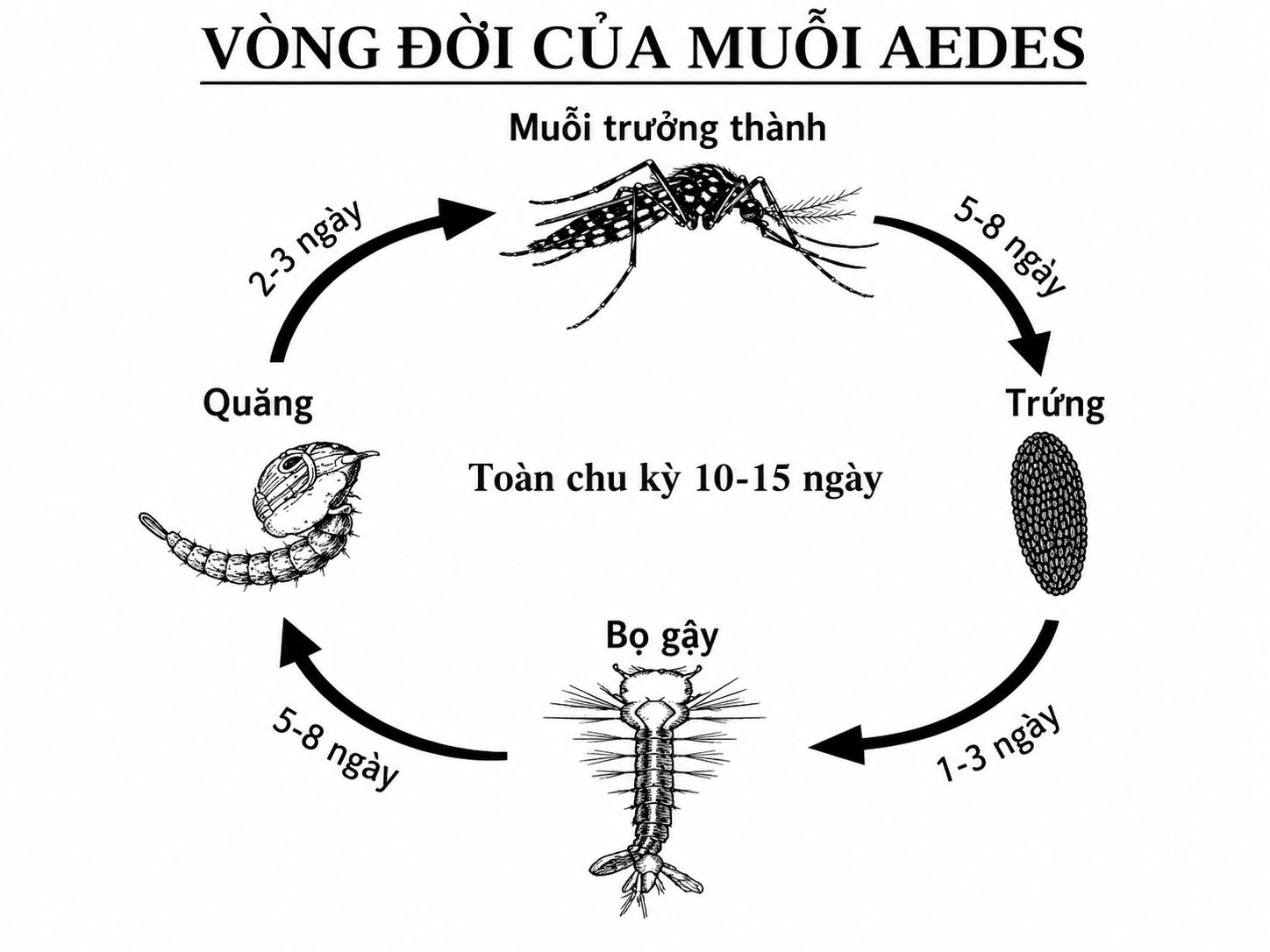 1_s8km-cRSMnnS5vXJekr8pgpKbHuIOG5