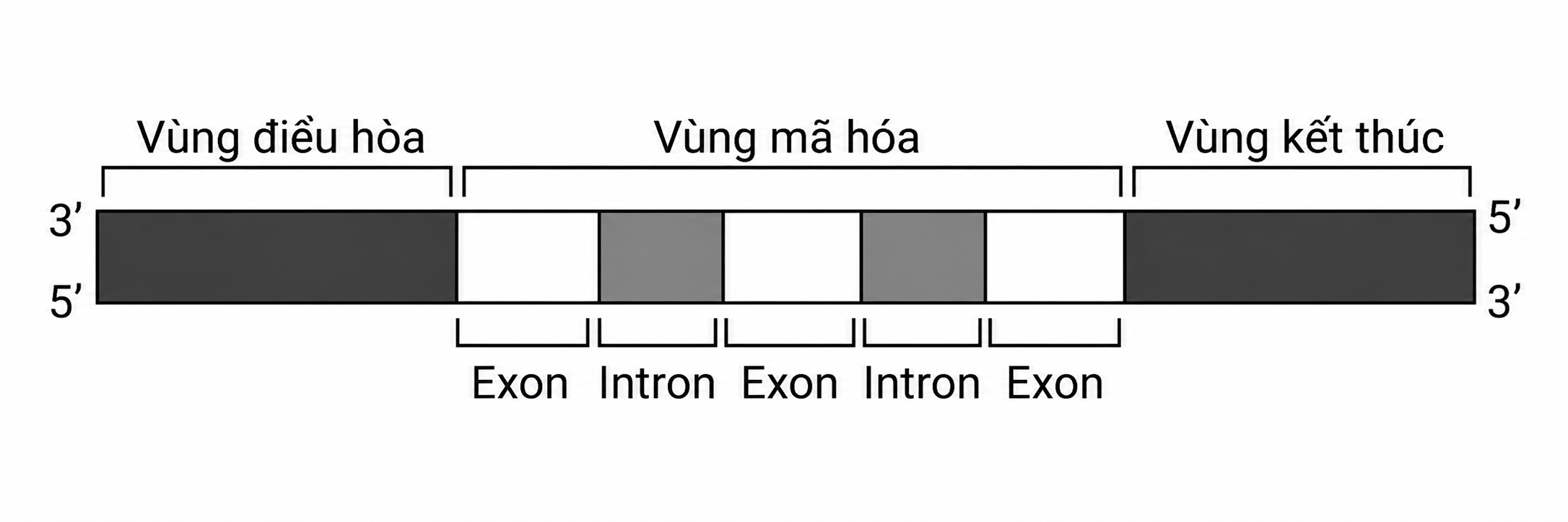 1b6IFH9Y3V9PI5JlNxZiuFjRNVfpwXf0t