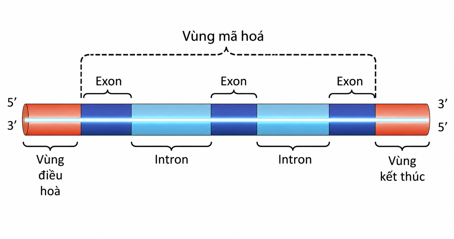 1bX2hGrbRN5RaI1bVtjVZUT5dyGwL_-ir