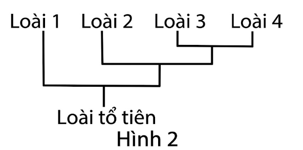 1eOrs_eA1iBl2YOIqogIRPQJXi43UXVkG
