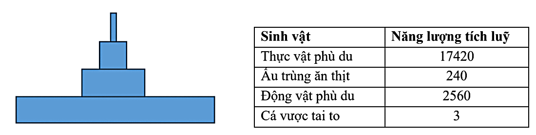 1gx2s55EtKjxUgv8IcDy9roPwR48AuzKr