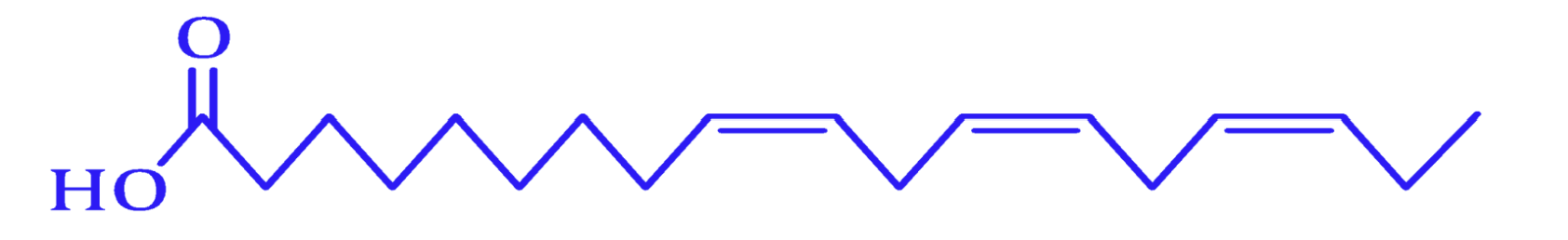 1haWCkoWCN2CMLI07vXeQcUzWFMd8RAW2