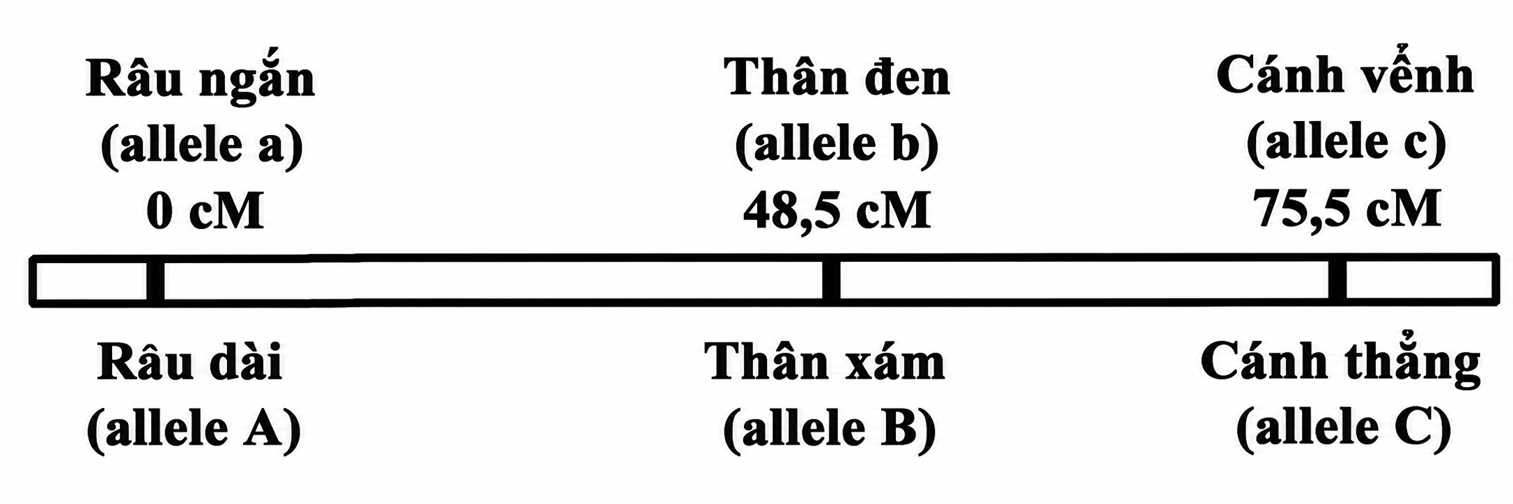 1hoYXlYsNBY_aB2ojrSbv7HXRbcgn7LL5