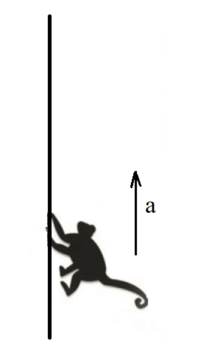 1kowmk05t1eWyRBrtiCvRQa6LngSu8ULj_2026-05-11120346.png