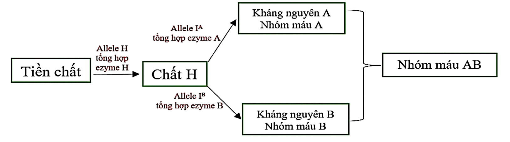 1lQlj7ZL22wmzOX89JR5hhBRx0ha79LqE