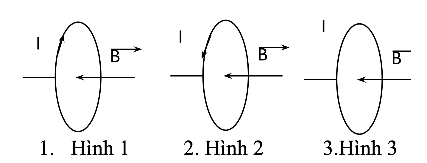 1s9TZVRdsltl1VsQZO2wF7jbi902lKQ7e_2026-03-27052342.png
