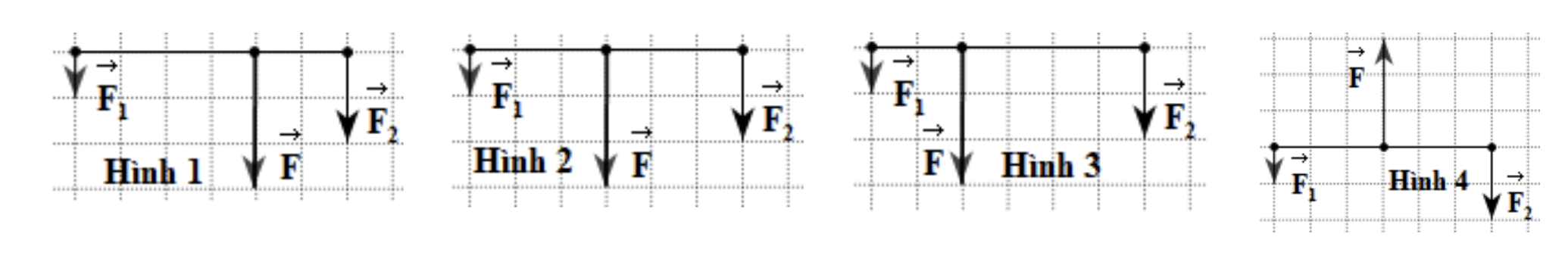 1sM6xDW4HhMgfbD9NVkiLHjrKDJdLRTOr_2026-05-11083326.png