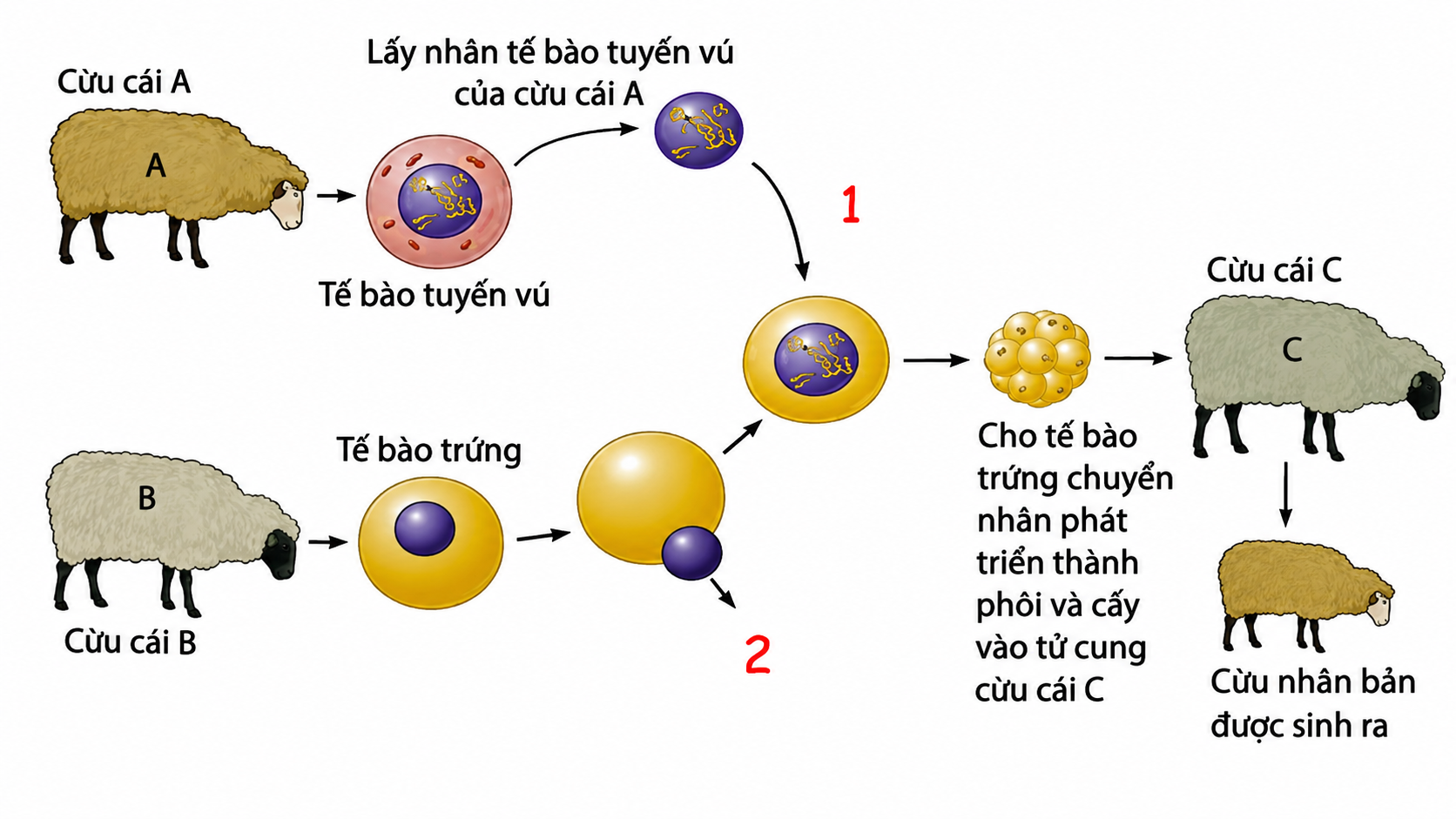 1te70iGlgB8tw3yxi5m7LQZY3vCaNpF_D