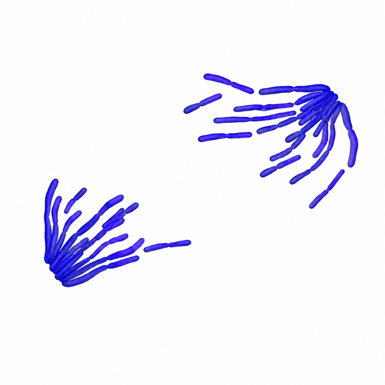 1tf8HDy5iiOA7Whz3WDjU050cOmSrdXVl