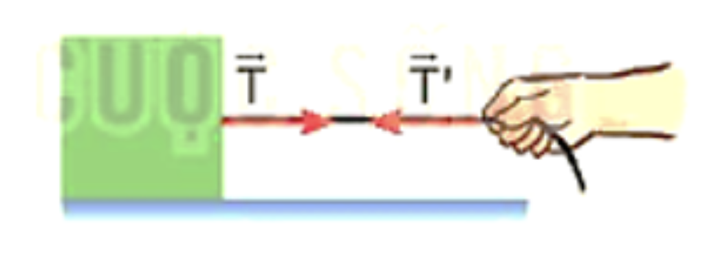 1w9hrnZONho89VQz2JdoSxXNsS28Y_s64_2026-05-11120056.png