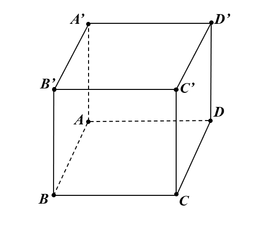 1wP7A8JHElkaPSrnQj3_gme3cksVZ2w8h