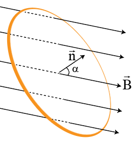 1wa1A2oiuOqJ6JeQviNsaI6C6CWx9k7Hc_2026-04-07050910.png