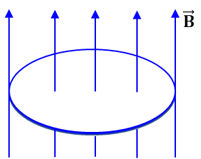1xiy649ht0zhpOx8Dflgaqlk_hjrTm_vC_2026-04-07045559.png