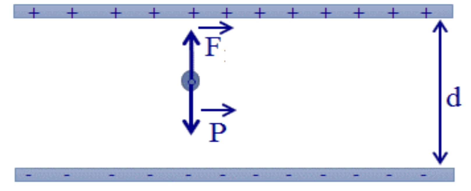 1znA0zqv6rO9k9Dbs7W0xIdU18_nm8I88_2026-04-21082915.png