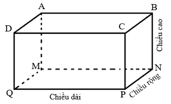 Chiều Rộng Tiếng Anh - Định Nghĩa Và Ứng Dụng Trong Cuộc Sống Hàng Ngày