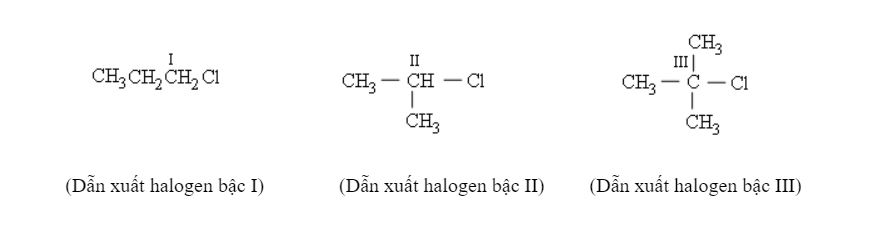 Dẫn xuất là gì? Khám phá đầy đủ về các loại dẫn xuất