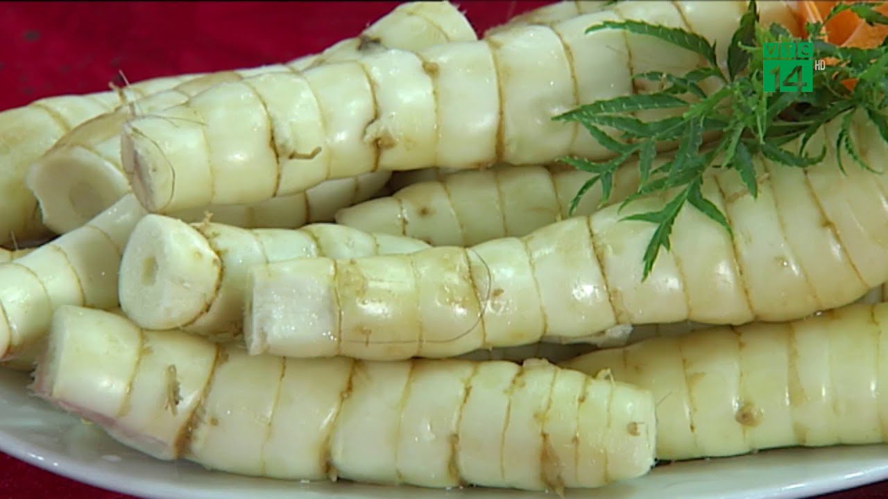 củ dong riềng Tiếng Anh là gì