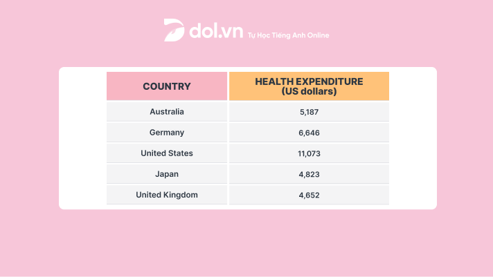 Total health expenditure per capita in five countries - IELTS Writing