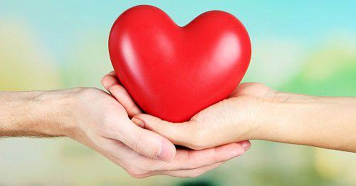 Cách sử dụng từ compassion để diễn tả lòng nhân ái?
