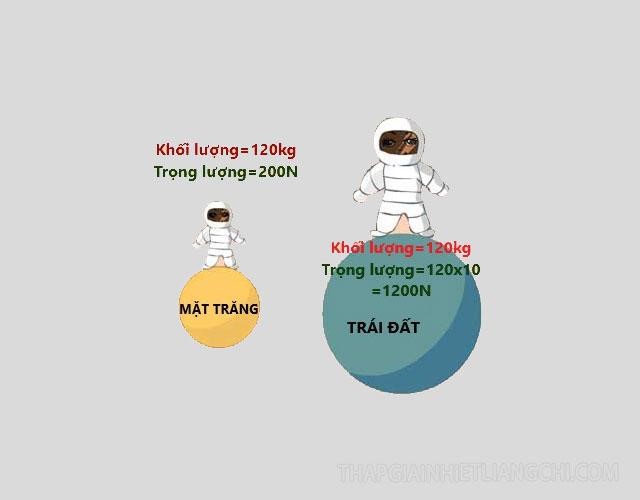 Phi trọng lượng tiếng Anh là gì?