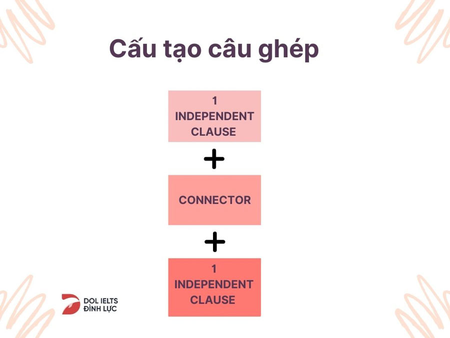 Cấu tạo của câu ghép