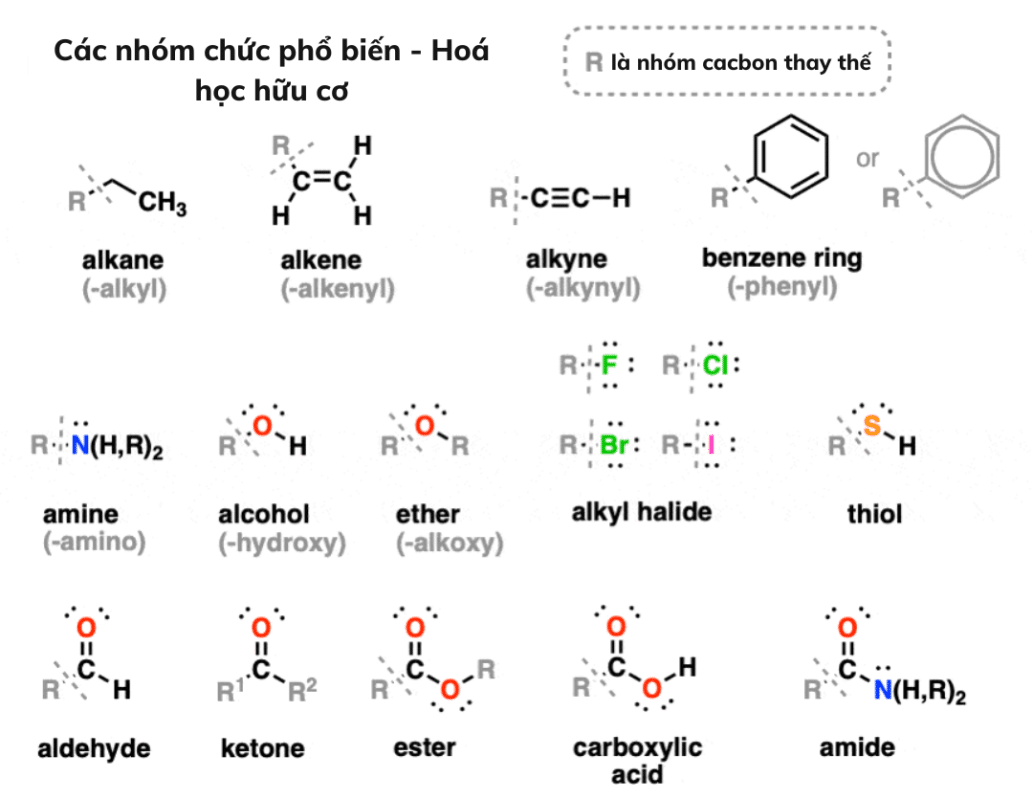 nh-m-ch-c-ti-ng-anh-l-g