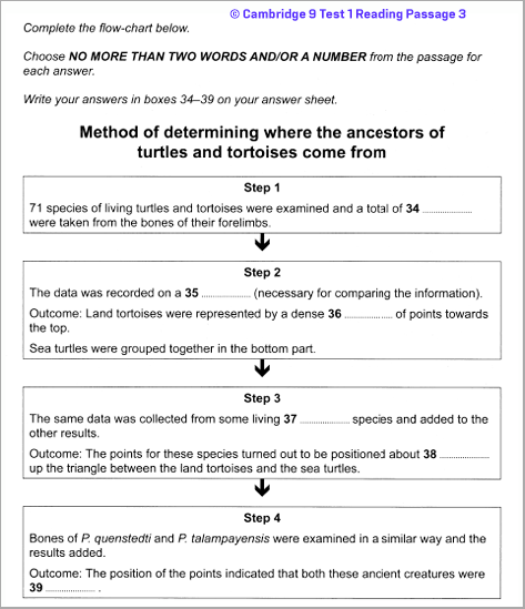 flow chart completion ielts reading