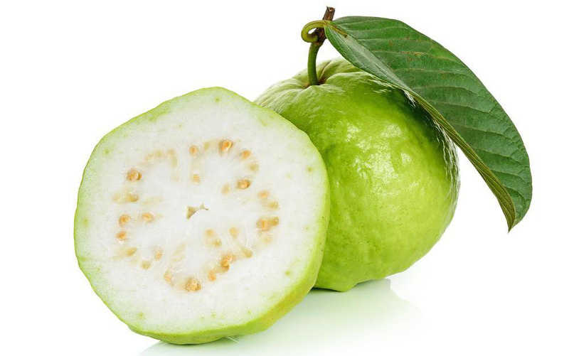 Guava là loại trái cây gì?
