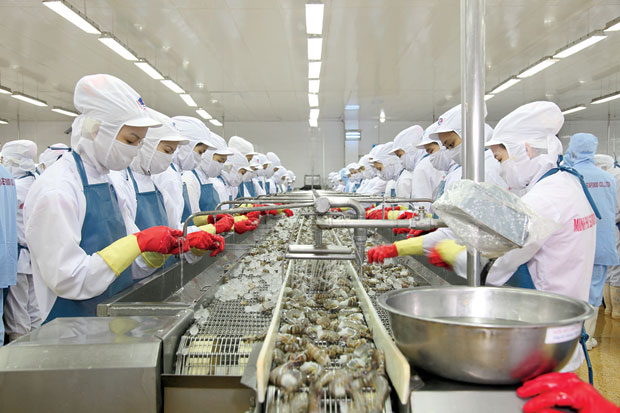 Những nguyên tắc cần phải tuân theo khi mua hải sản tươi sống?
