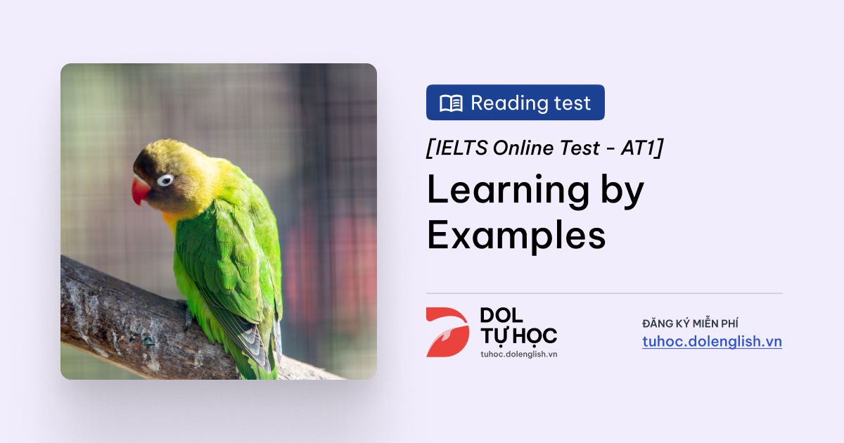 Learning By Examples Learning by examples