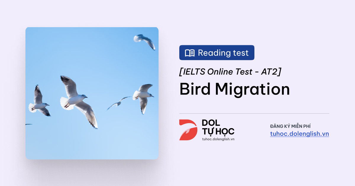 Bird migration