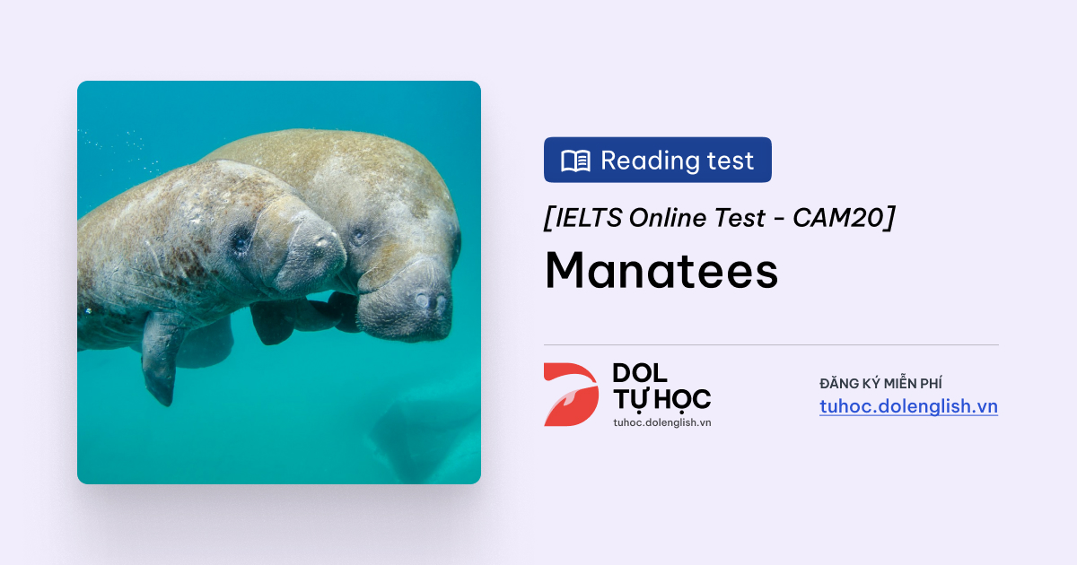Manatees IELTS Reading Answers with Explanation | DOL Academy